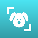 Dog Scanner ícone