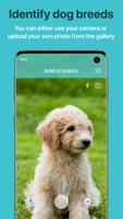 Dog Scanner poster