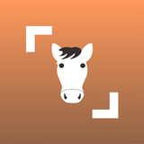 Horse Scanner icône