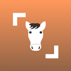 Horse Scanner icono