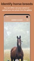 پوستر Horse Scanner