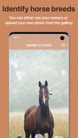 Horse Scanner 海報