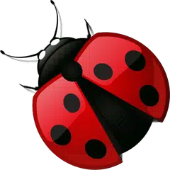 Скачать Похудение без диеты -  СИТ 30 APK