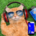 Animal sounds