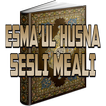 Kuranı Kerim, EsmaÜl Hüsna Ses
