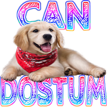 Can Dostum Köpek Bakımı Köpek Eğitimi