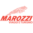 Marozzi icon