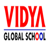 Vidya Global School