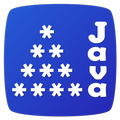 Pattern Programs for Java |Pro