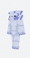Axolotl Skin For Minecraft PE Poster