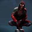Spider Wallpaper Man QHD