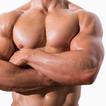 Six Packs Body Building Photo Editor