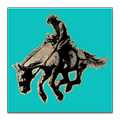 Interstellar Rodeo
