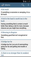 English Idioms / Offline screenshot 1