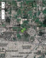 Live Star স্ক্রিনশট 2