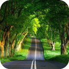 Road Wallpaper icon