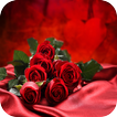 Rose Wallpaper icon