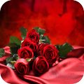 Rose Wallpaper