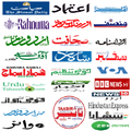 Urdu Newspaper