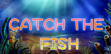 How to Get All Fish in Sea