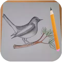 How to Draw Birds