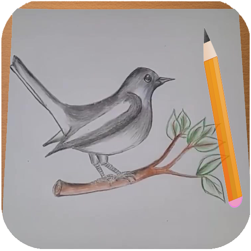 Wie Vögel Zeichnen