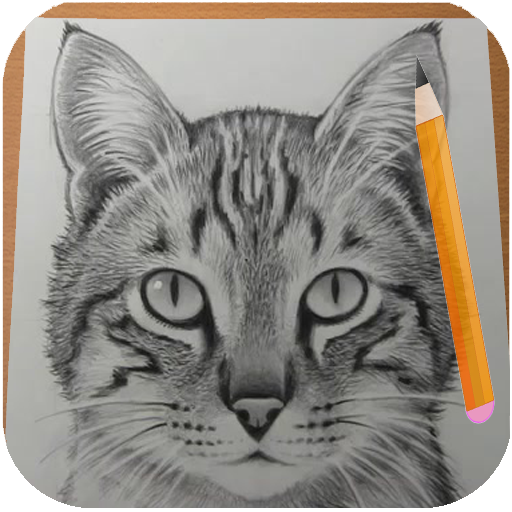 描き方の猫