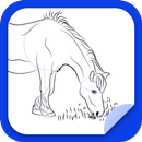 Comment dessiner un cheval APK