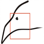 Скиф-Карго Транспорт