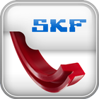 SKF Dichtungen icône