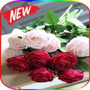 Beautiful Bouquets Of Flowers And Roses APK