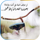 اقوال وحكم بالصور تحرك الوجدان APK