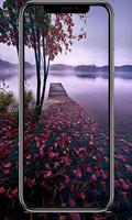 Dream Night Wallpapers HD پوسٹر