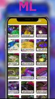 Skin Tools ML Pro - IMLS 포스터