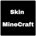 Skin Minecraft ícone