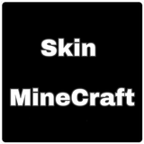 Skin Minecraft icône