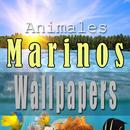 Animales del Mar Wallpaper APK