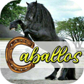 Caballos Wallpapers