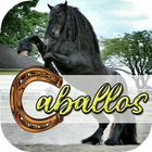 Caballos Wallpapers आइकन