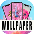 Wallpaper Color Rosa