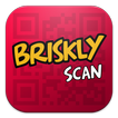 Briskly Scan