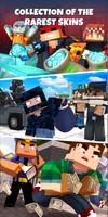 Skins Mods পোস্টার