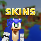 The Hedgehog Sonik Skins icône