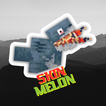 Mod Skins Melon Playground