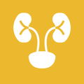 Urology Nation