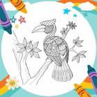 Coloring Book Hornbill Mandala Zeichen