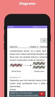 12 th Biology NCERT Solution capture d'écran 2