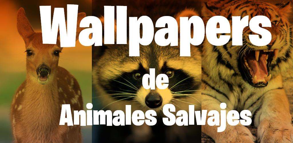 Fondos de Pantalla de Animales Salvajes en 4k 🦊 APK للاندرويد تنزيل Fondos de Pantalla de Animales Salvajes en 4k 🦊 APK للاندرويد تنزيل