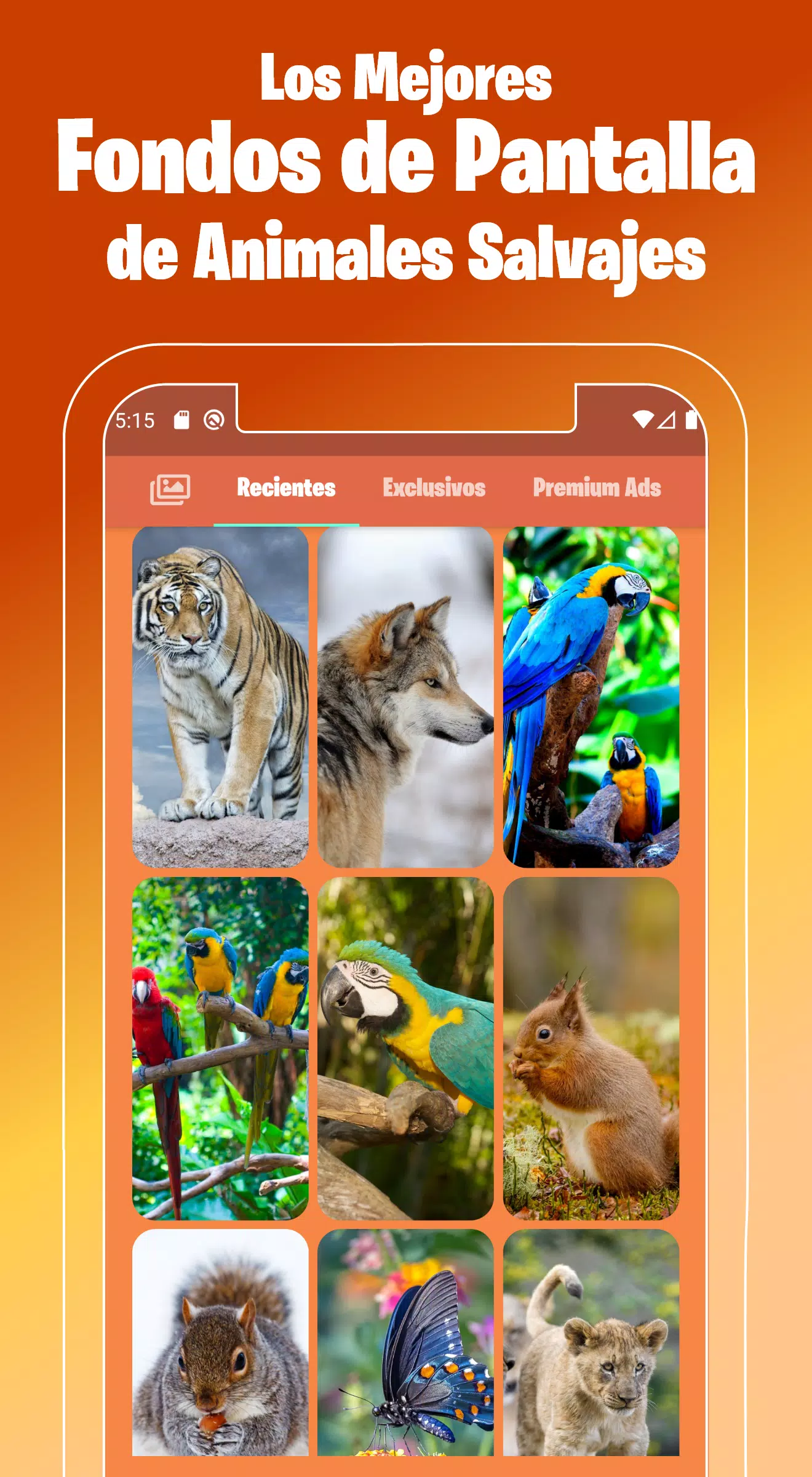 Fondos de Pantalla de Animales Salvajes en 4k 🦊 APK للاندرويد تنزيل Fondos de Pantalla de Animales Salvajes en 4k 🦊 APK للاندرويد تنزيل