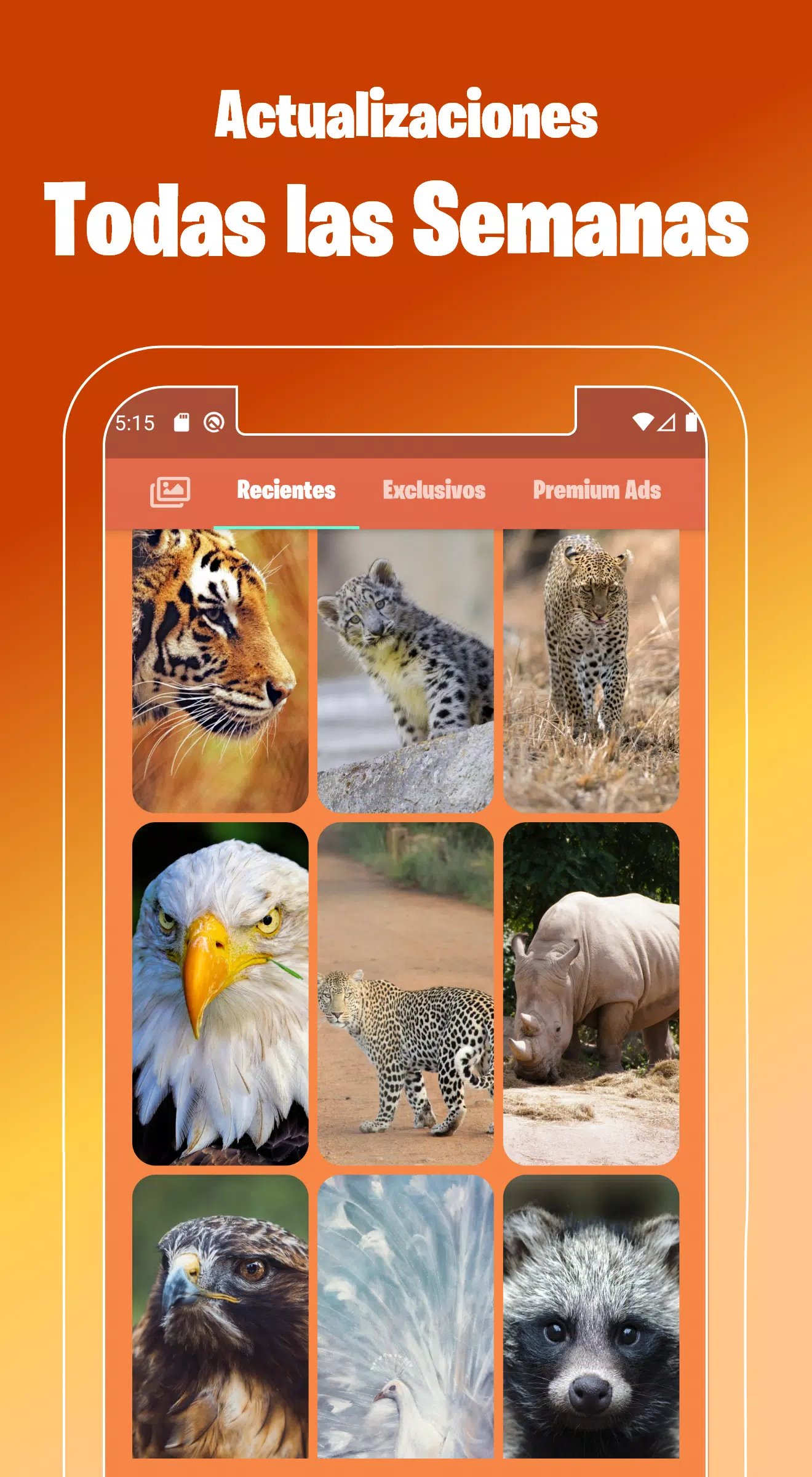 Fondos de Pantalla de Animales Salvajes en 4k 🦊 APK للاندرويد تنزيل Fondos de Pantalla de Animales Salvajes en 4k 🦊 APK للاندرويد تنزيل